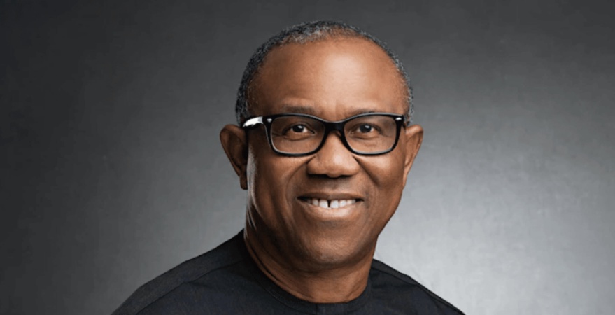 How Peter Obi convinced me, others to join Labour Party — Nenadi Usman