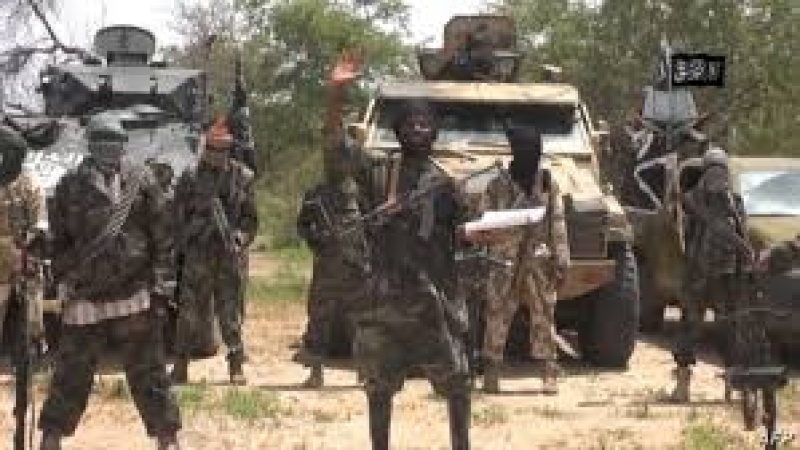 Boko Haram committing war crimes — Amnesty condemns targeted killing of civilians