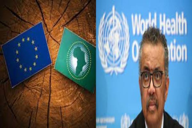 Vaccines prevent 1.8m deaths in Africa annually — WHO