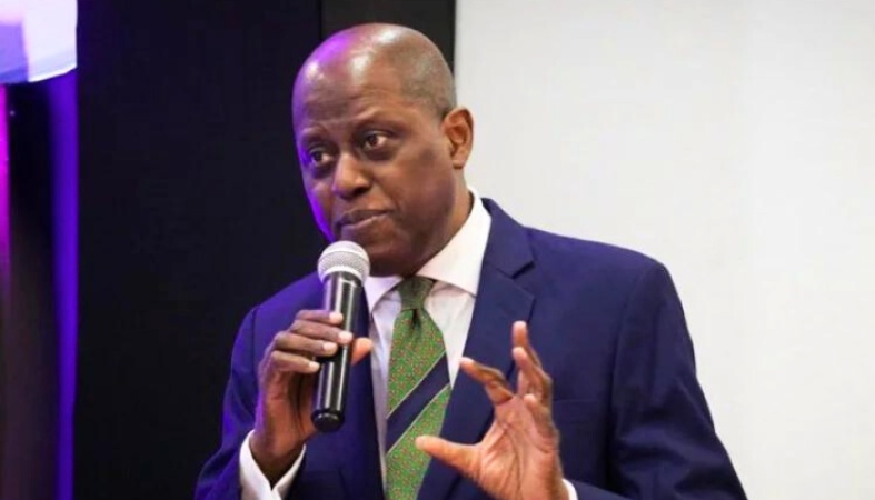 NESG identifies constraints to impact of bank recapitalization