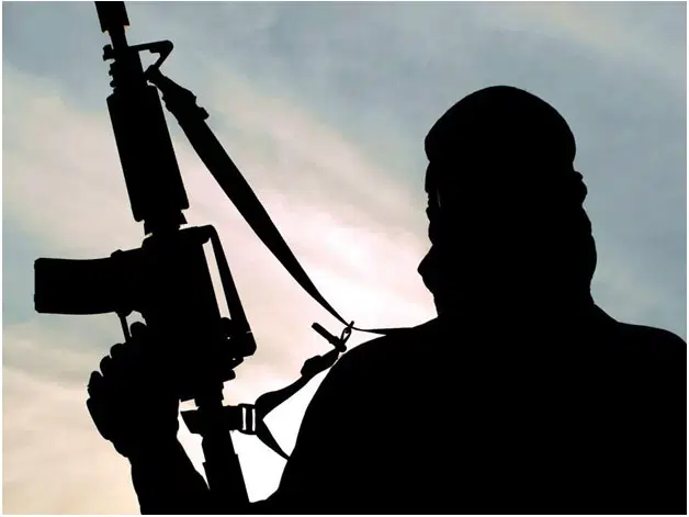 Terrorists kill 22 in Niger, Plateau, scores in Kebbi