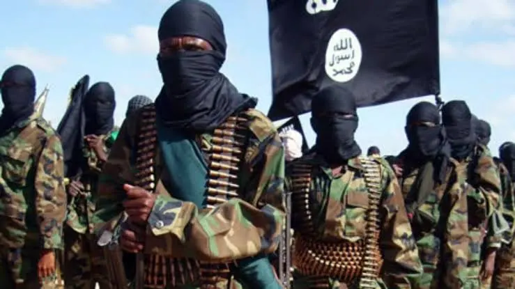 Zamfara, group decry reintegration of terrorists into society