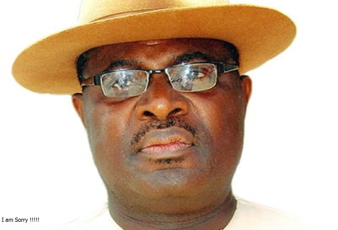 Dagogo-Jack: President Tinubu’s 90-day power sector ultimatum emotional at best