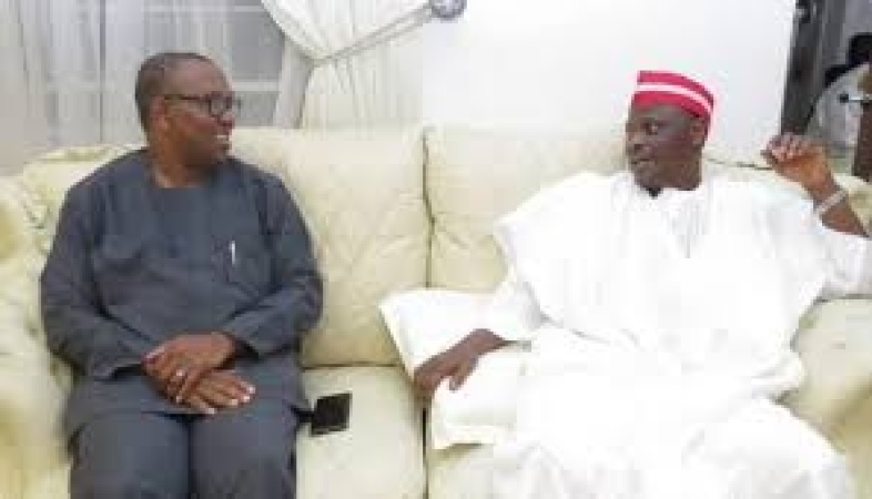  2027: Obi, Kwankwaso defection plan threatens coalition consensus deal