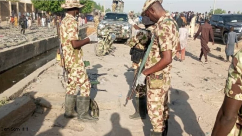 Female terrorist family member surrenders to troops in Borno