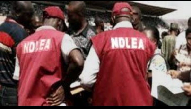 NDLEA raids Kano drug joints, arrests 6 suspects