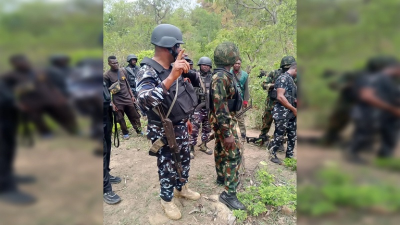NIPS cautions against growing politicisation of security operations