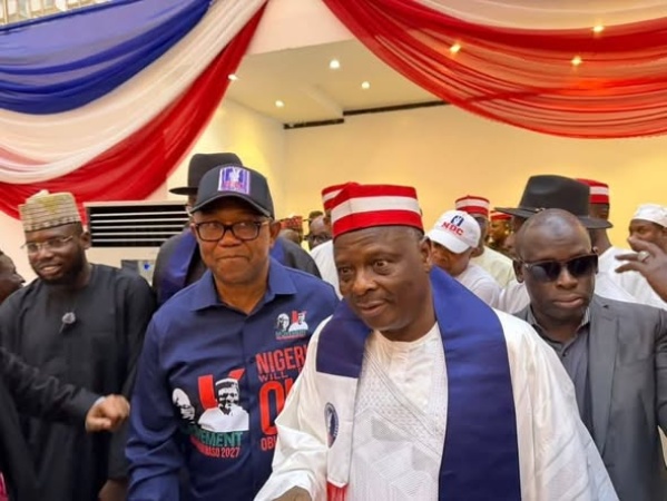 BREAKING: NDC zones presidency to South for single term