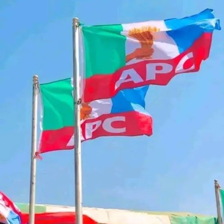Anambra APC expels 30 members, inaugurates 21 LG chairmen