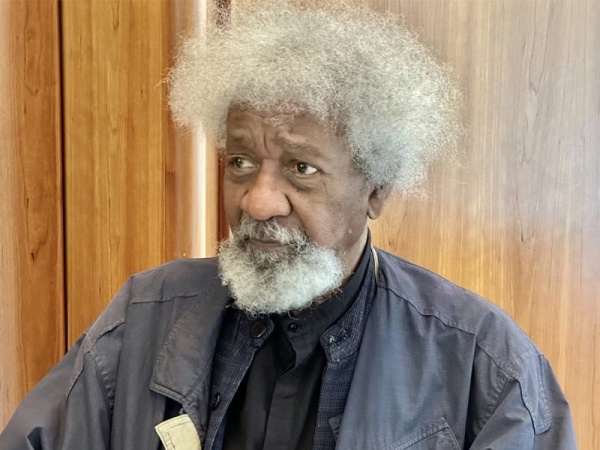 Soyinka to chair NADECO 32nd anniversary as Opadokun unveils memoir