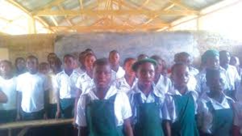 Choked by assignments: Untold struggles of primary school children 
