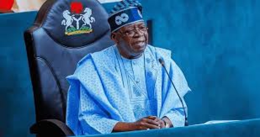 Real reason Tinubu appointed homeland security adviser 