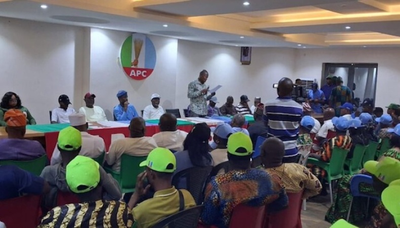 Gunmen open fire, disrupt APC Senate Primary Election