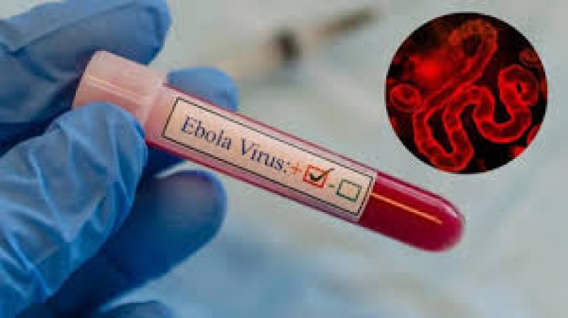 Ebola: WHO cautions on panic, says fear is an outbreak
