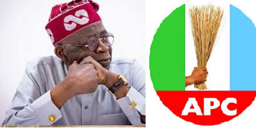  APC NASS tickets: A battle of wits between governors and senators