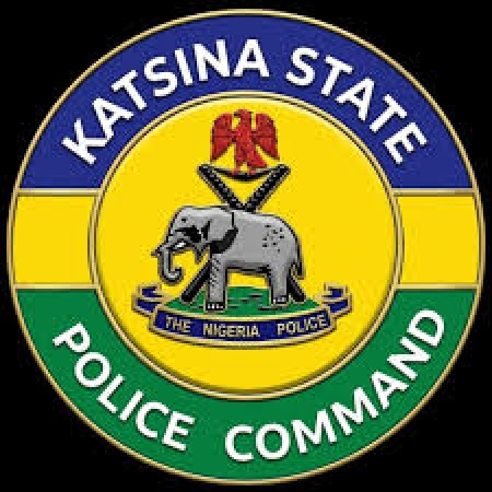 Police foil kidnap, cattle rustling attempts, rescue 11 in Katsina