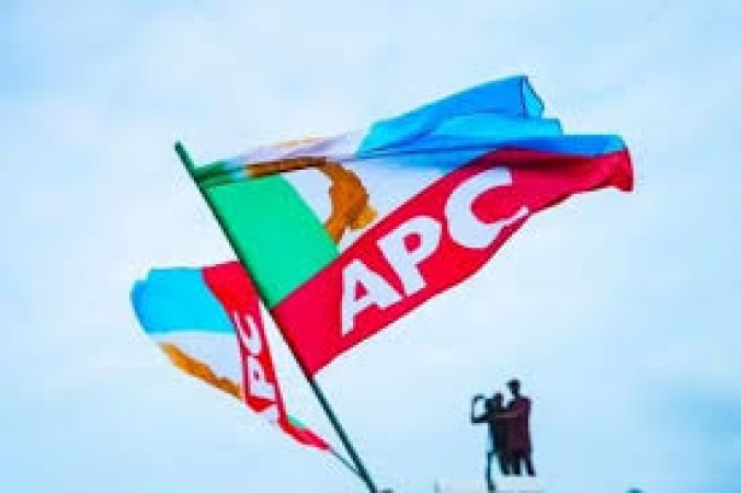 APC governors clinch second term tickets in Kano, Kebbi, Kaduna, others