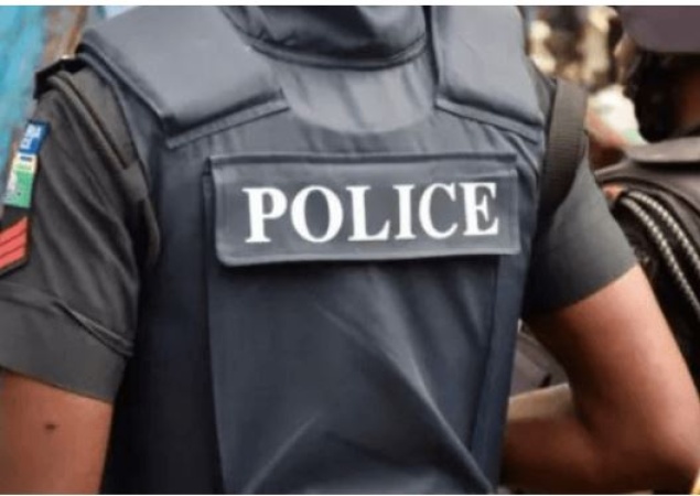 Enugu police arrest two drug suspects