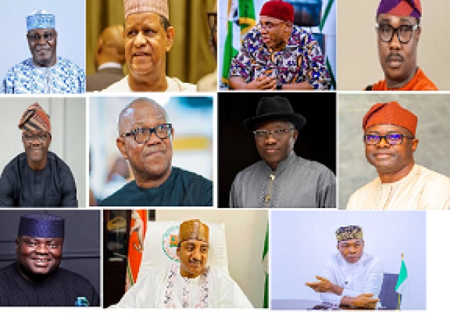 12 contenders, dark horses eye Tinubu’s job