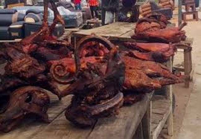 Avoid bush meat to prevent Ebola spread, physicians tell Nigerians