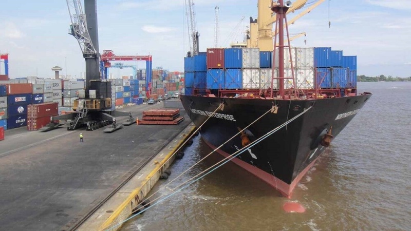 Importers pay N100,000 daily demurrage over National Single Window delays — Customs agents