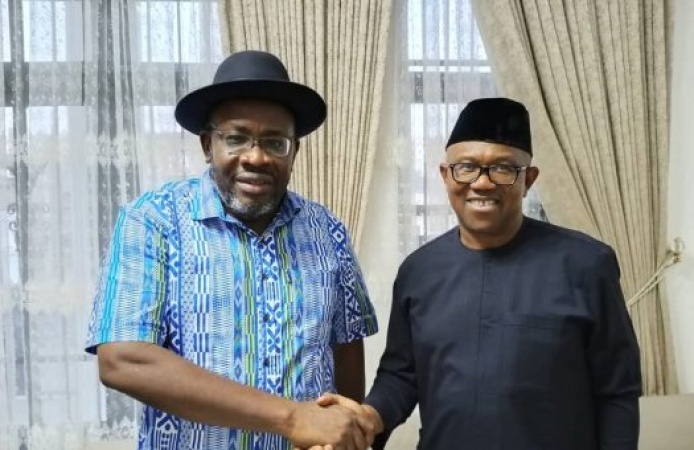 NDC not a special purpose vehicle, say Obi, Dickson