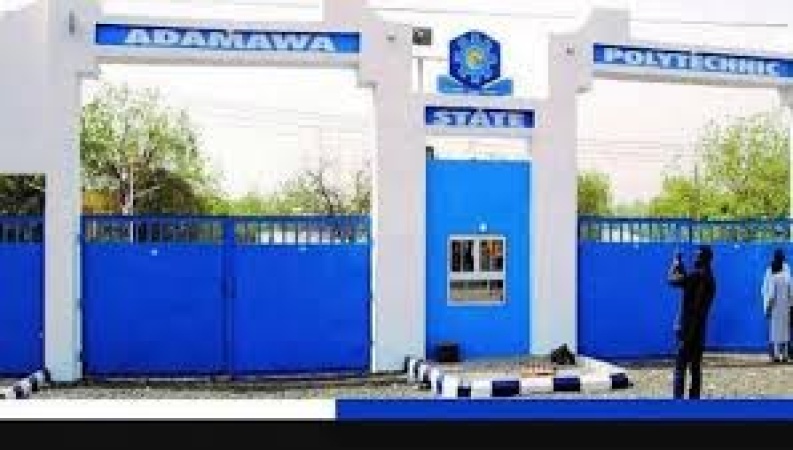 One arrested as armed robbers attack students’ residences in Adamawa