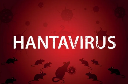 More Hantavirus cases may emerge in coming weeks — WHO