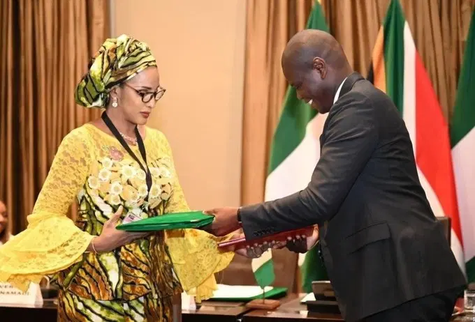 Xenophobia: ‘We can’t watch our citizens humiliated in your country’ — FG tells South Africa