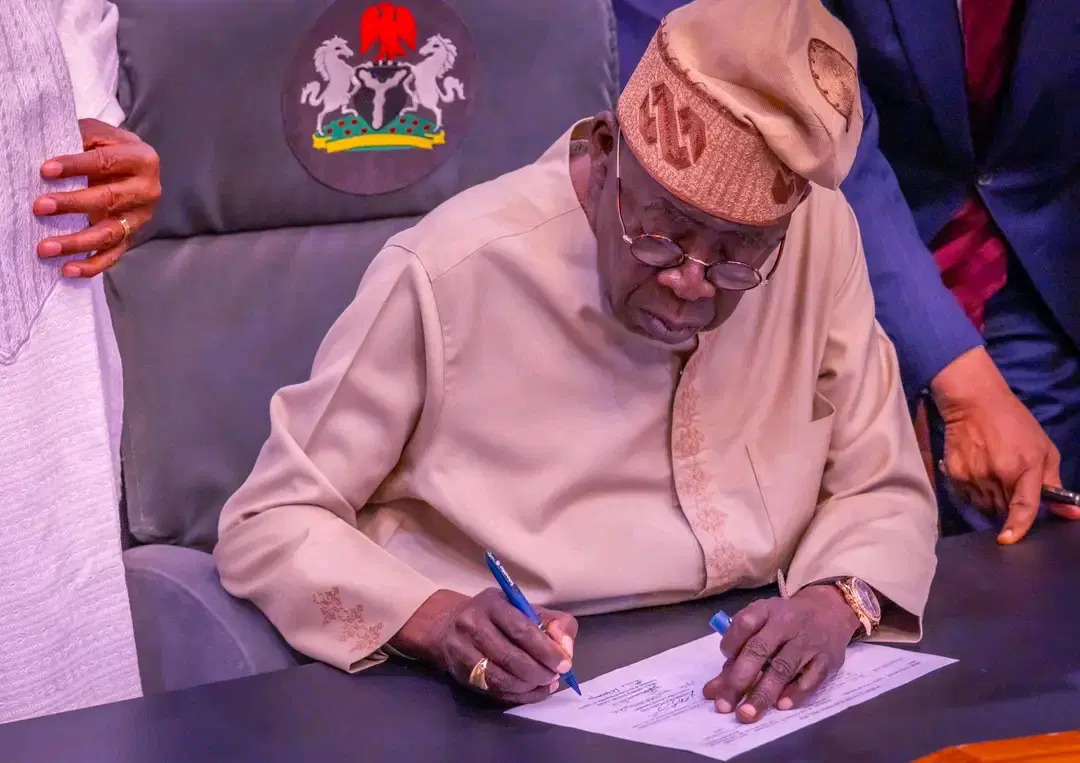 State Police Bill: How NASS caged governors