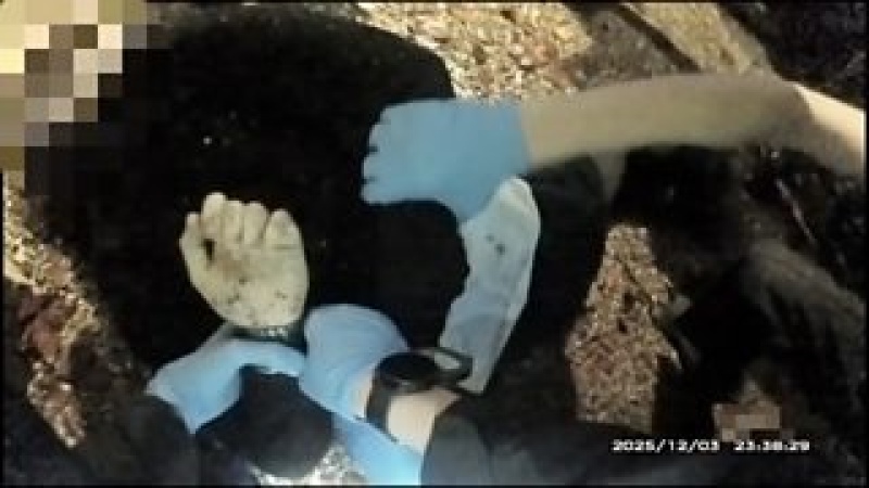Murder victim told police 'I can't breathe' while handcuffed