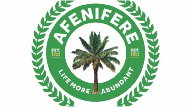 Afenifere demands immediate creation of state police amid rising insecurity