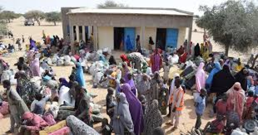 Insurgency: 8,521 Nigerians seek refuge in Niger, Cameroon, Chad