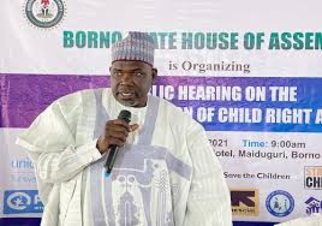 Borno Deputy Speaker leads community outcry, demands immediate release of 42 abducted schoolchildren