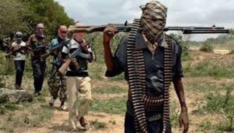 Two killed, one injured as bandits ambush youths in Niger forest