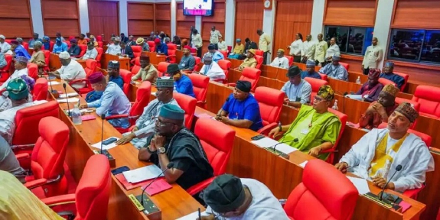 Senate orders arrest of bandits flaunting cash on TikTok