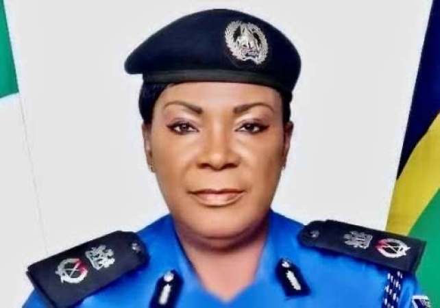 Police arrest man over alleged false alarm of bandits' invasion of Ebonyi community