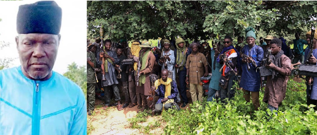 How Ex-Defence Spokesman, Rtd. Gen. Rabe Abubakar, died in bandits’ custody — Katsina Govt