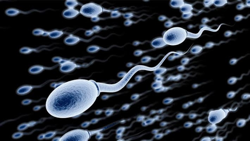 Only 25 per cent of men have healthy sperm — Experts
