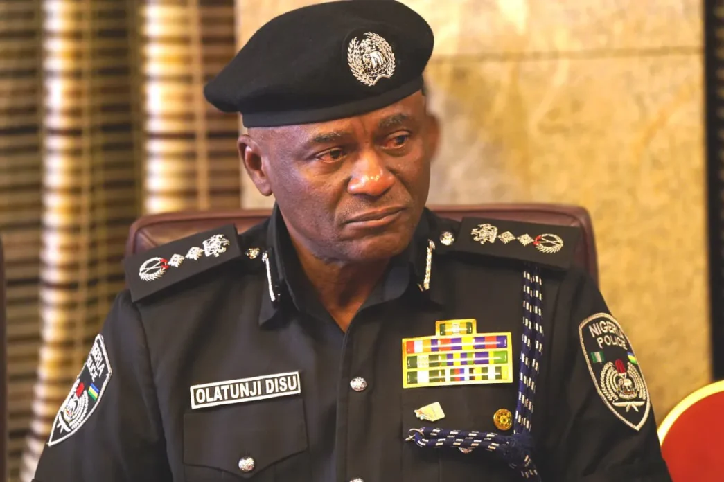 State police creation doesn’t mean abolition of NPF – Disu