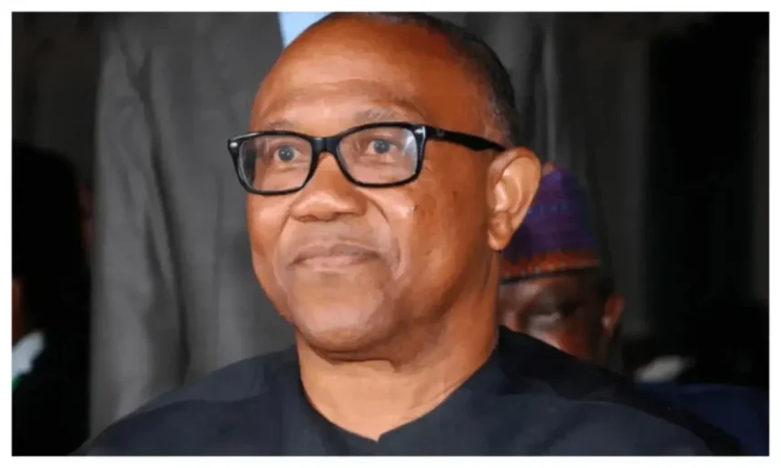 2027: Why INEC should publish academic certificates of all candidates — Peter Obi