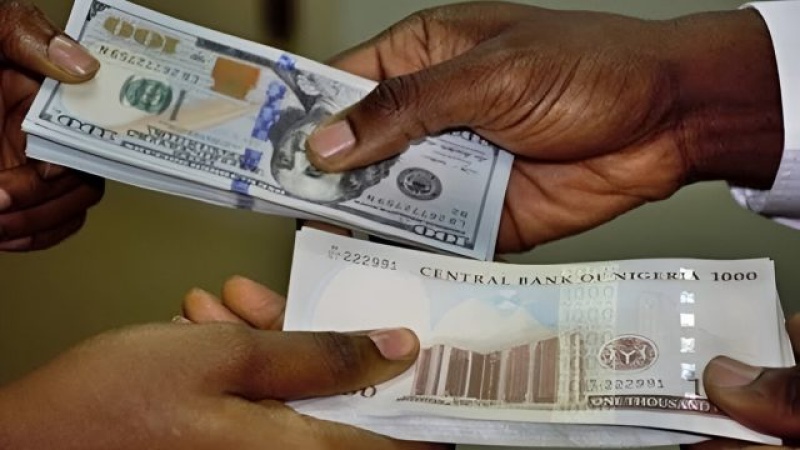 NEFGAD, IMPI surveys rate FG low on transparency, high on FX reforms