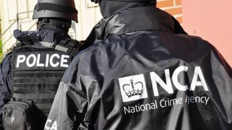 Police uncover international networks of men using online chat groups to drug and rape women