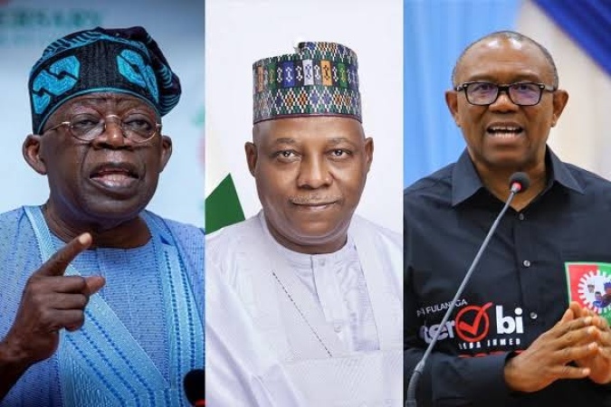 Rule of law ahead of 2027: NDC deregistration judgement exhumes 2023 controversies over Tinubu, Shettima