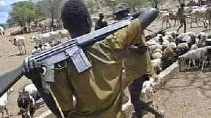 Fresh bloodshed in Taraba as Gwomu communities suffer deadly attack