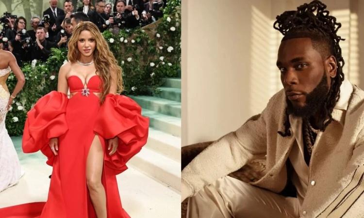 I love Burna Boy so much, Shakira declares