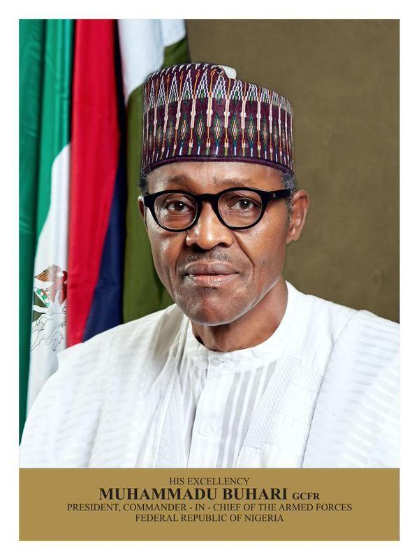 A critical look at Buhariâ€™s first Presidential Media Chat, By Benjamin Obiajulu Aduba