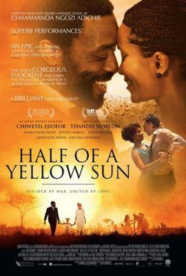 Ban on â€˜Half of a Yellow Sunâ€™: Censors Board may destroy Nollywood â€”Expert