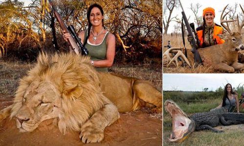 Female hunter kills lion . . . but faces a backlash