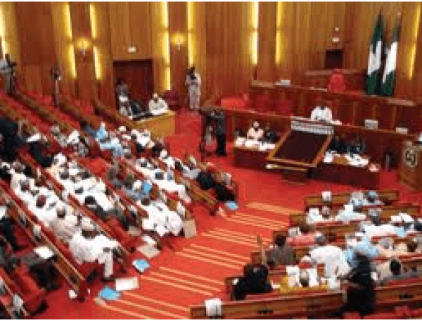 Nigeriaâ€™s emerging â€˜public citizenâ€™ and the 8th Senate